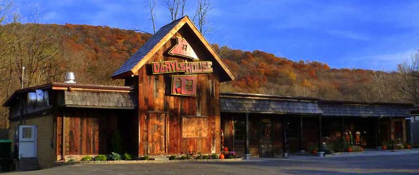 Daryl's House